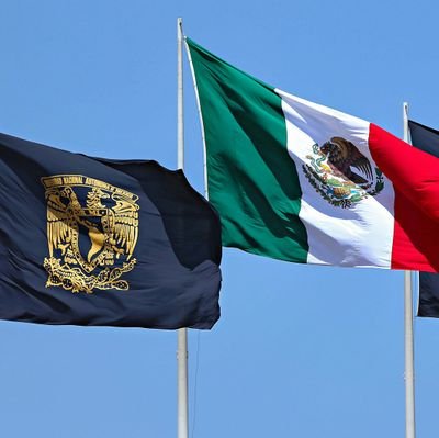 LCelsoc's profile picture. En movimiento