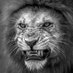 BADR (@badr_shwail) Twitter profile photo BADR (@badr_shwail) Twitter profile photo