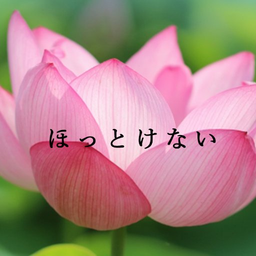 HOTOKENAIYO's profile picture. 世の中、「ほっとけない」ことばかり・・・
さまざまな名言をお届けします。