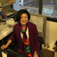 Sharon Noguchi (@noguchionk12) 's Twitter Profile
