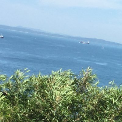 sosososossss44's profile picture. 20↑ ヒロアカと原神、スタレ