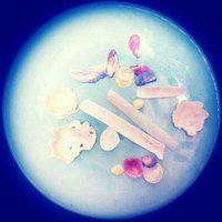 ◎ ）! 」＊ ∀⊥! ￢ о Ν (@n_rico_rico) Twitter profile photo