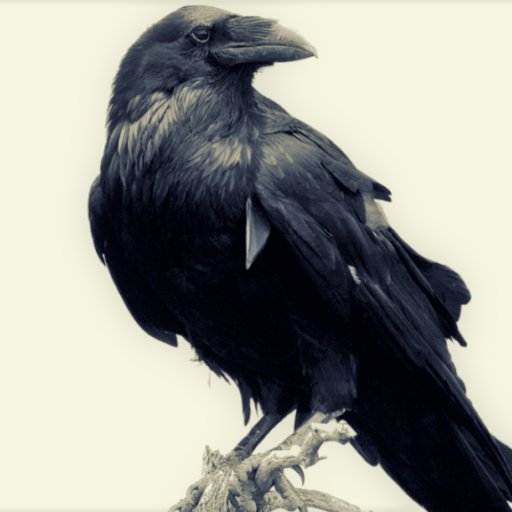 Nevermore Quoth the Raven