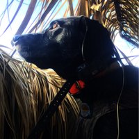 Smoker (@hillbillyrkstr) 's Twitter Profile