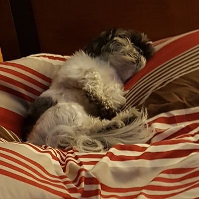 PABLOAMANCHA's profile picture. Apasionado de mi pais...gusto de la música clásica (80as, 90as)... Progresista!!!