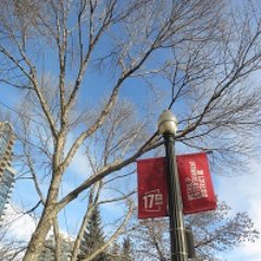 Offering a complete-street vision to inspire a conversation about transforming the 17th Ave SW Red Mile into the ultimate gathering place. #yyc #yycbike #yyccc