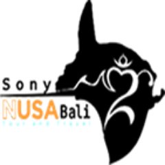 Sony Nusa Penida Bali Tour is a local Tour Guide based in Bali Nusa Penida with five years experience. +6282236363894 https://t.co/i19ejPnFpp