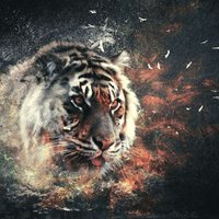 Cemil Şahin (@cemilsahin957) 's Twitter Profile