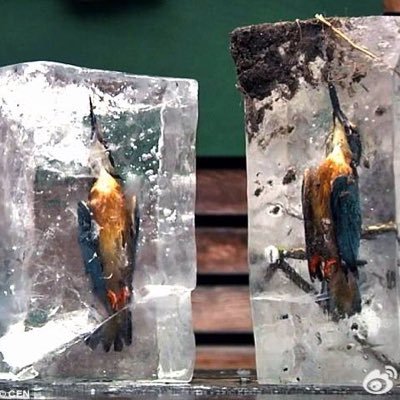 oedkljs1asd4gs's profile picture. 