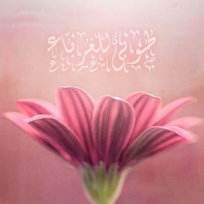 (اللهم أرزقني وأولادي العلم النافع والرزق الواسع والعمل الصالح وأرزقني برهم)❤️
رب اصلح قلوبنا رب احفظ علينا سمعنا وبصرنا وعقلنا رب زدنا علما♥️