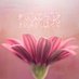 أم عدي (@joria_66) Twitter profile photo أم عدي (@joria_66) Twitter profile photo