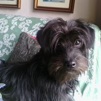 Rita Campomori (@ritacampomori) 's Twitter Profile