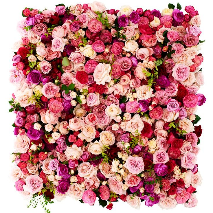 superhumanverse's profile picture. 