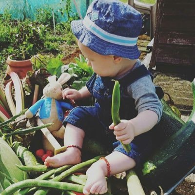 A campaign to encourage children to plant, grow and eat fruit and veg. Watch them learn. #watchmegrow