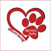 Harvey's Army (@harveysarmy1) 's Twitter Profile