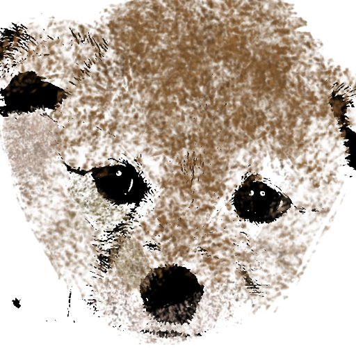 kohi123321's profile picture. インスタコツコツ