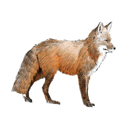 foxwoodra Profile Picture