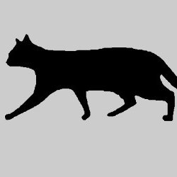 Stray Catsさんのプロフィール画像