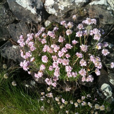 Raghnailt1's profile picture. Food & Drink Lifestyle Fitness & Wellness