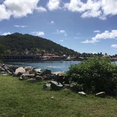 CarpeHat's profile picture. 