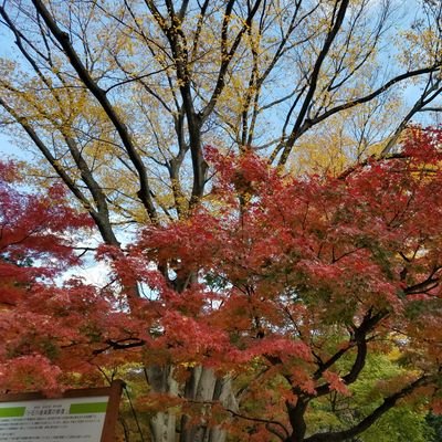 df_aaaaa's profile picture. 基本見る為だけのアカウント