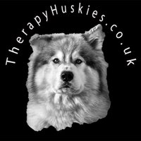 Therapy Huskies (@therapyhuskies) 's Twitter Profile