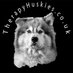 Therapy Huskies (@therapyhuskies) Twitter profile photo Therapy Huskies (@therapyhuskies) Twitter profile photo