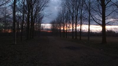 ufffffff123's profile picture. 