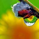 Mahbub Ahmed - @Shohag2210 - Twitter