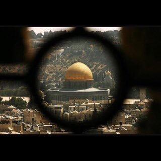 _freenation's profile picture. 