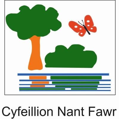 nant_fawr Profile Picture