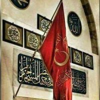 Solo Türk (@solotrk15) 's Twitter Profile