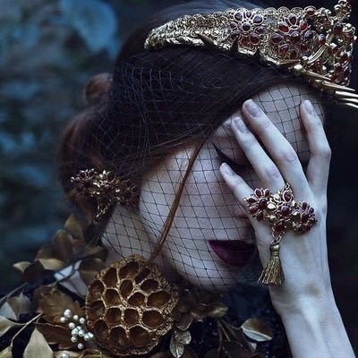 shosho_x5's profile picture. translator..