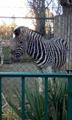 KAndritsiou's profile picture. 