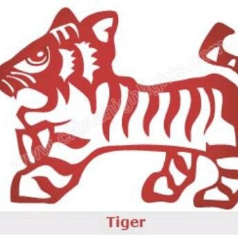 DesireeburtonDb's profile picture. 