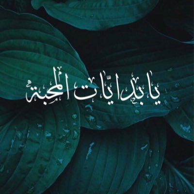 أجمل الشعر البديع .. من اخره لين اوله 💚.