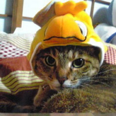 けろりん 今日のヒーローインタビューは石川柊太投手だったので 明日のランチは北千住の 石川竜之介 の まかないカレー にします O 石川柊太 Sbhawks 福岡ソフトバンクホークス 石川竜之介 北千住焼肉 けろりん 今日のヒーローインタビューは石川柊太投手だったので 明日のランチは北千住の 石川竜之介 の まかないカレー にします O 石川柊太 Sbhawks 福岡ソフトバンクホークス 石川竜之介 北千住焼肉