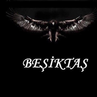 murat61729262's profile picture. 