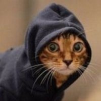 Andy Wilson (@i_r_wilson) 's Twitter Profile