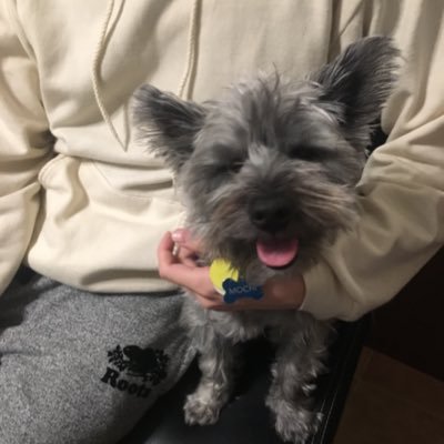 queeniex__'s profile picture. 