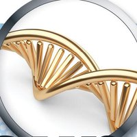 CRS Focus Group - Gene Delivery and Gene Editing (@crs_fg_gene) 's Twitter Profile