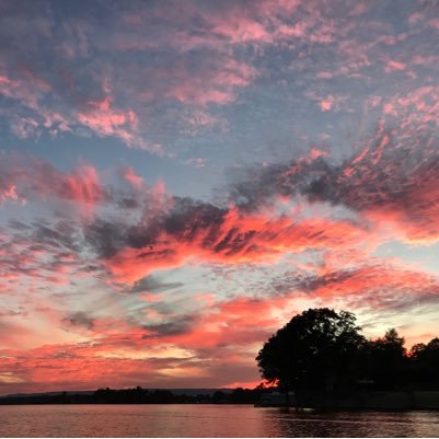 TNTechFisheries's profile picture. 