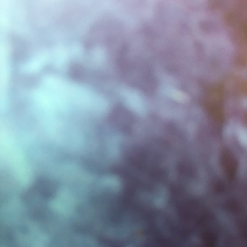 hofman91045506's profile picture. 