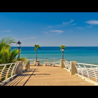 olgaescobarflo3's profile picture. 