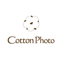 コットン撮影会☁モデル募集中(@Cotton_Photo_) 's Twitter Profile Photo