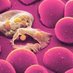 ntdisease (@ntdiseaseforum) Twitter profile photo ntdisease (@ntdiseaseforum) Twitter profile photo