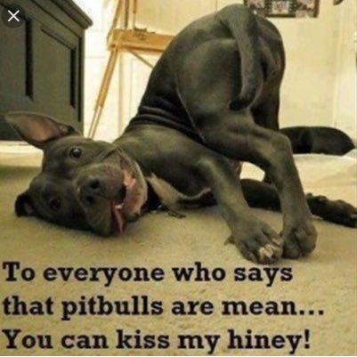 rose29870's profile picture. JWU 🎓| a true love for animals| YOLO| I'll sleep when I'm dead