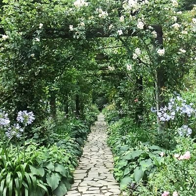 きっかけは疫病騒動。
改憲創憲断固反対。
ワク断固反対。
与野党は全てグル。
特定政党への誘導ご遠慮下さい😊
免疫大事。