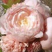 peony0015's profile picture. たまにつぶやきます。