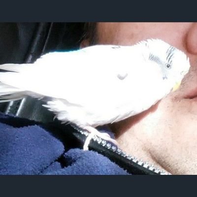 hisato823d5300's profile picture. 趣味は撮影です。 #ポートレート 用は #Nikon #D5300 です。普段持ちは #Nikon1 #S1 と #Canon #EOS #kiss と #Olympus #PL6 色々です。白崎結衣ちゃん推し応援しています。時々モデルさんを撮影会等にて撮影しています。